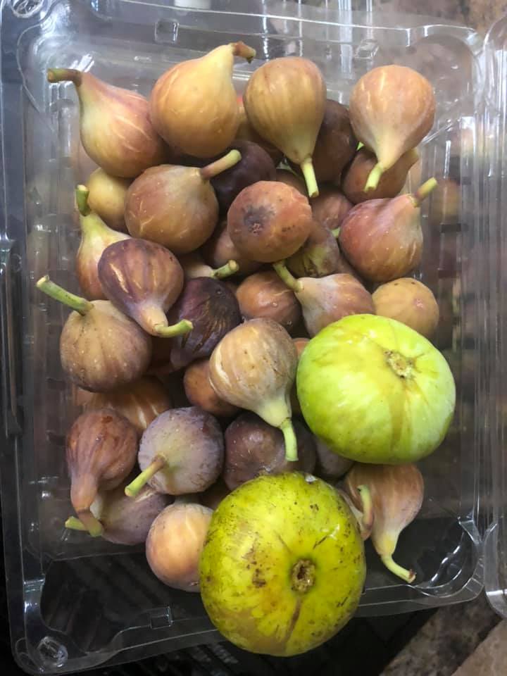 figs
