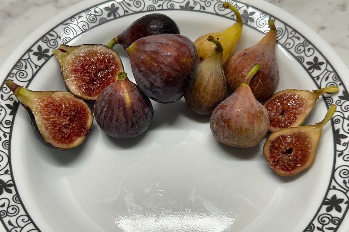 brown figs