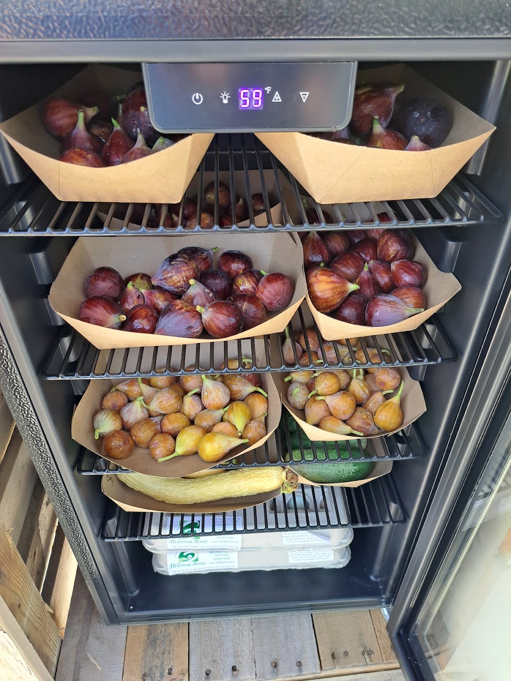 farmstand fridge