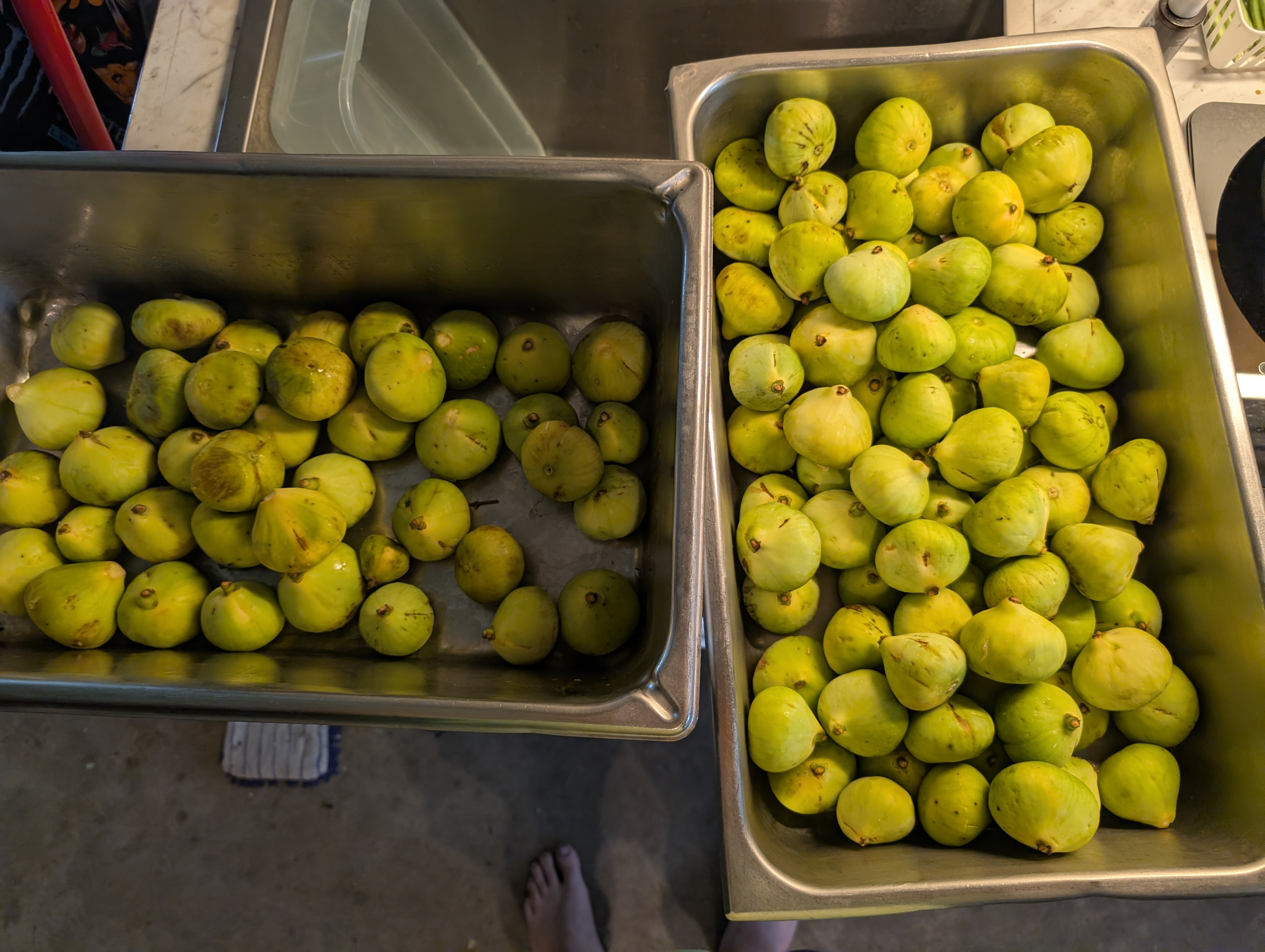 pan of figs