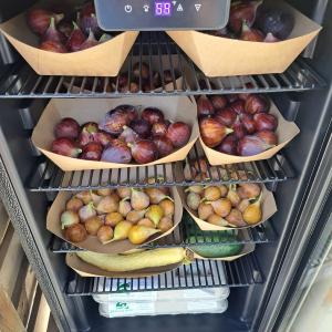 farmstand fridge
