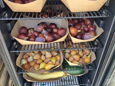 farmstand fridge
