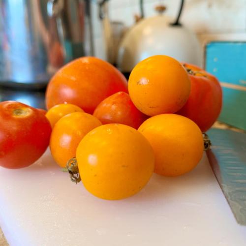 Tomatoes
