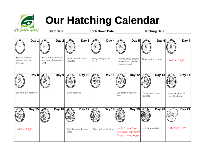 Hatching Calendar