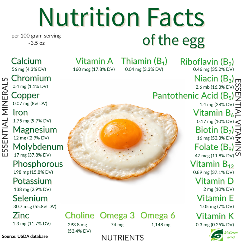 Nutrition Facts of the egg