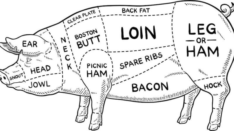 Pork cut chart