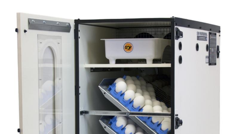 GQF Cabinet Incubator 1500