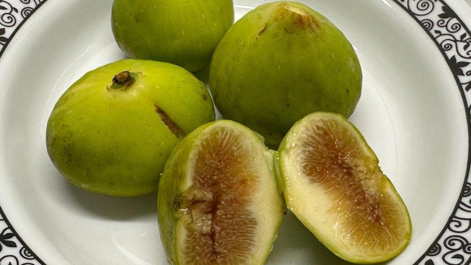 Green Figs