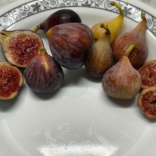 brown figs